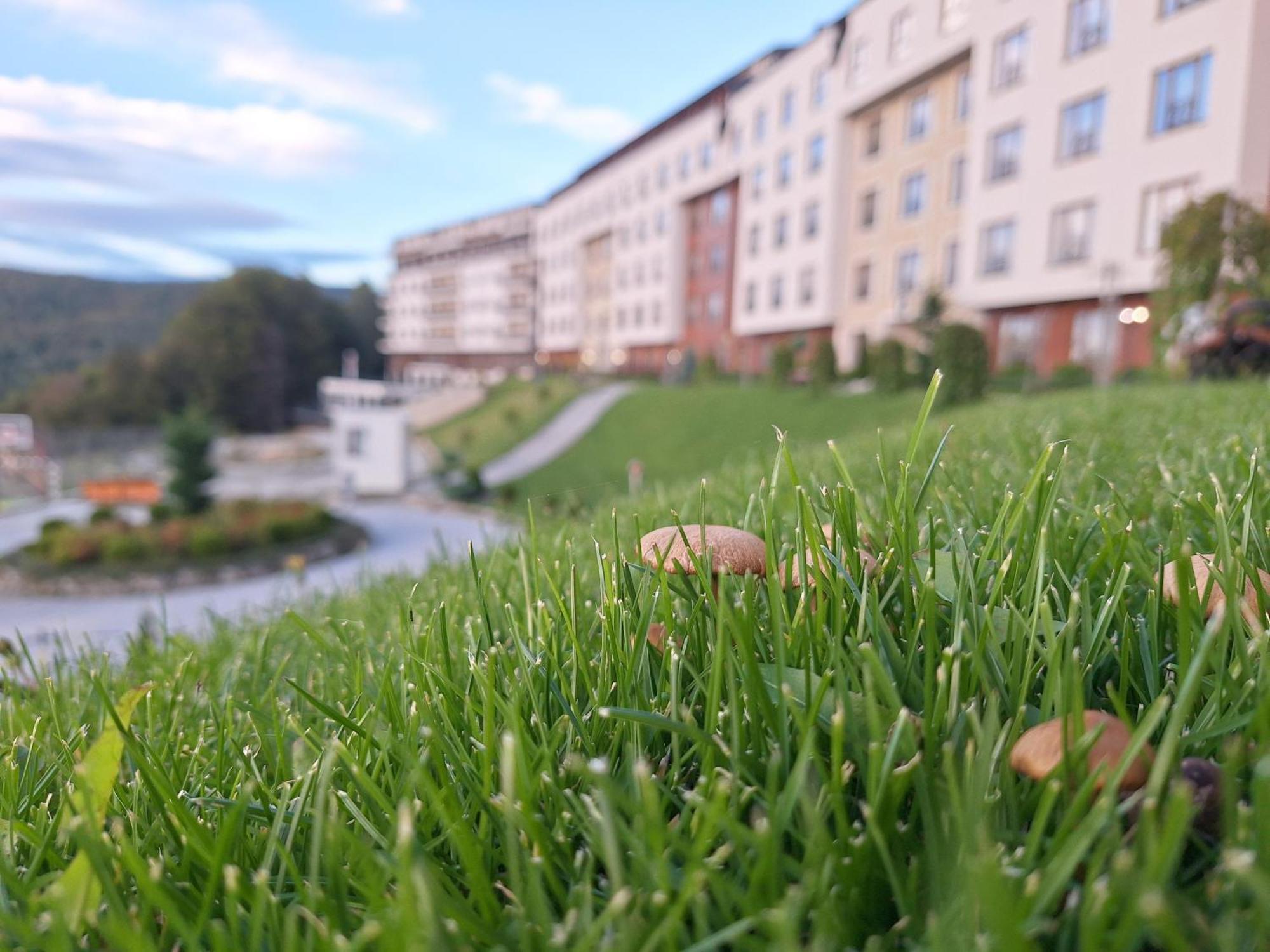 Vistanova Milmari S33 Apartment Kopaonik Exterior foto